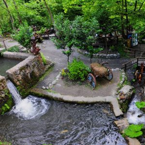 Maşukiye & Sapanca Tour Maşukiye & Sapanca Tour